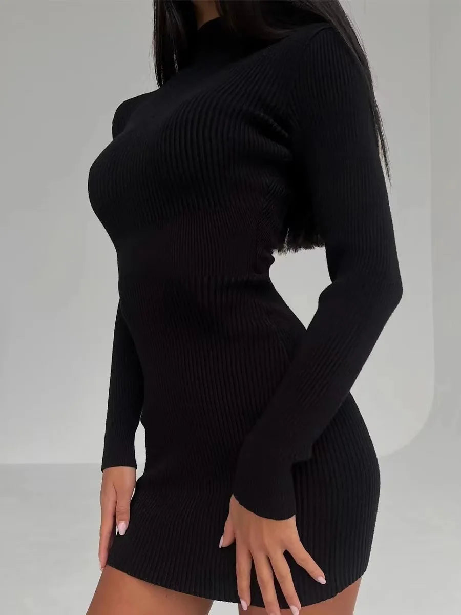 Autumn Knitted Turtleneck Dress Women Long Sleeve Bodycon Midi Dresses Elegant Fashion