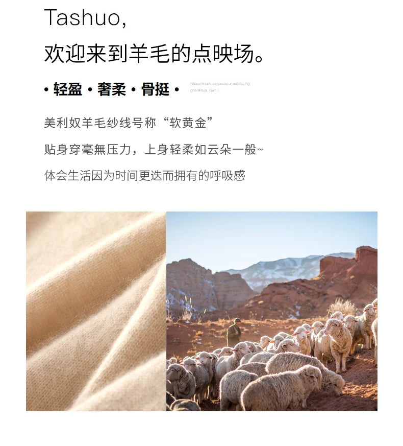 Wool Cashmere Sweater Women Knitted Sweater Turtleneck Long Sleeve Pullovers Autumn Winter.