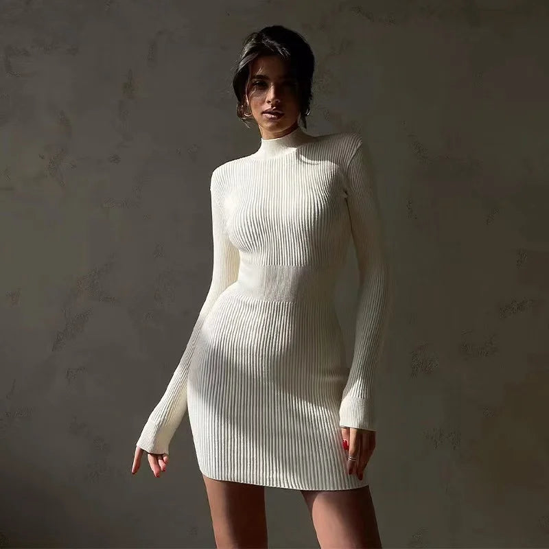 Autumn Knitted Turtleneck Dress Women Long Sleeve Bodycon Midi Dresses Elegant Fashion