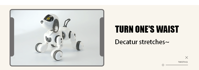 RC Robot Dog – Stunt Moves, Voice Command & Touch-Sense Music Toy for Kids (18011)