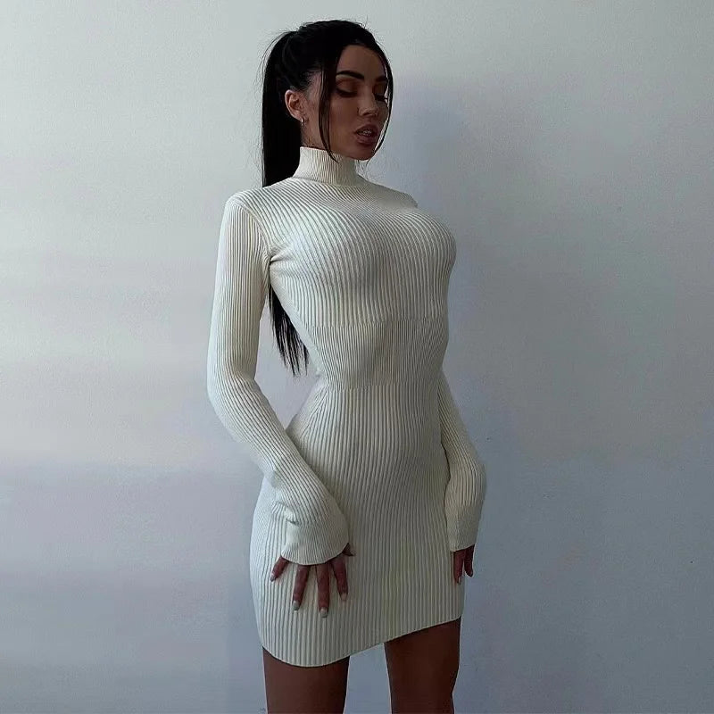 Autumn Knitted Turtleneck Dress Women Long Sleeve Bodycon Midi Dresses Elegant Fashion