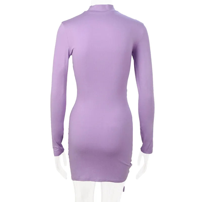 High-neck Purple Long-sleeved Pleated Tie-up Dress Skirt.