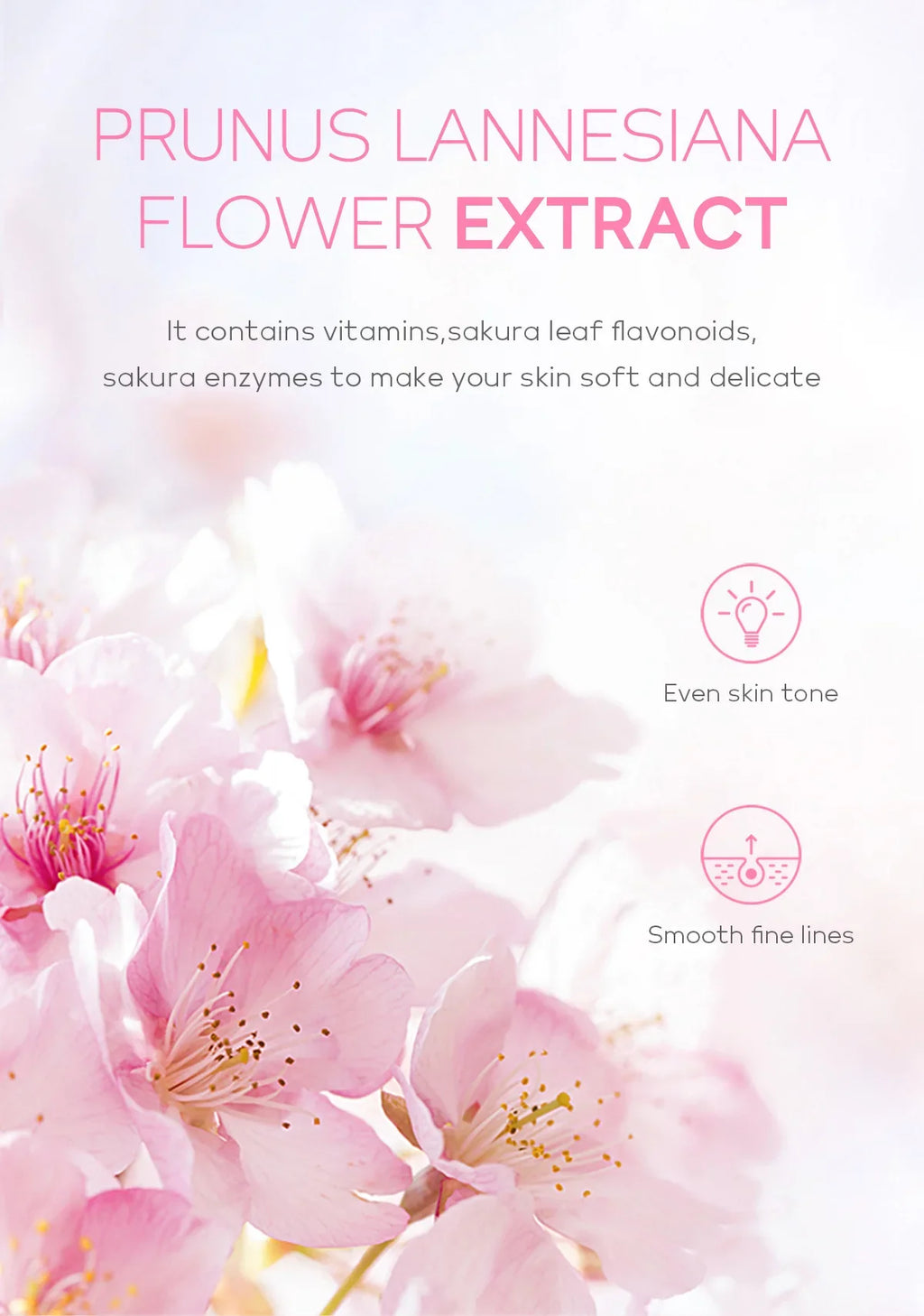 Sakura Face Deep Cleaning Exfoliating Gel Skin Care Whitening Moisturizer